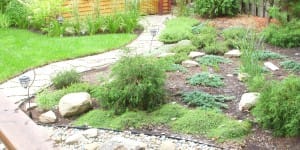 Asiatique - Japonais