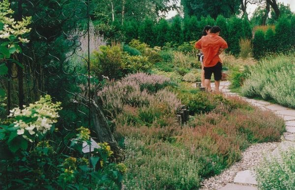 bruyère à son meilleur