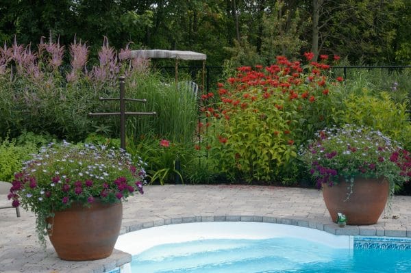 Piscine bien entourée
