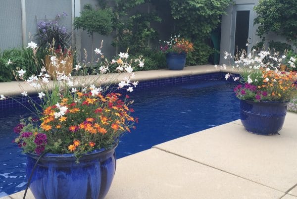 Autour de la piscine