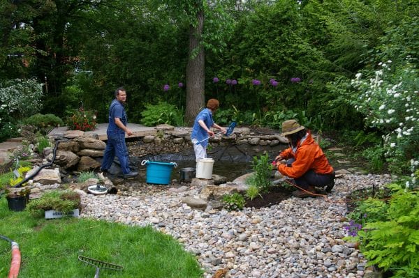 nettoyage étang au printemps