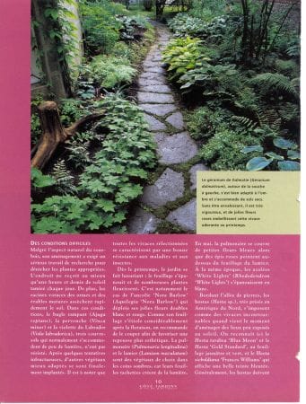 Allée verdoyante, Coté Jardins no 3, automne 1998