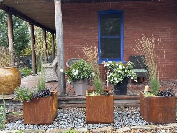 Graminées dans pot d'acier corten