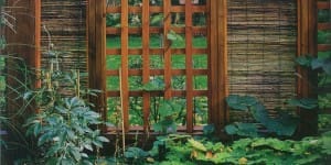 Collection Je Jardines- Métissage réussi