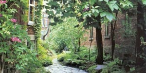 Côté Jardins - Une allée verdoyante