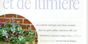 Collection Je Jardines- Souvenir d’Indochine