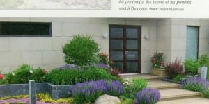 Collection «Je Jardines» – Sans pelouse